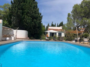 DOMAINE LES VINYES